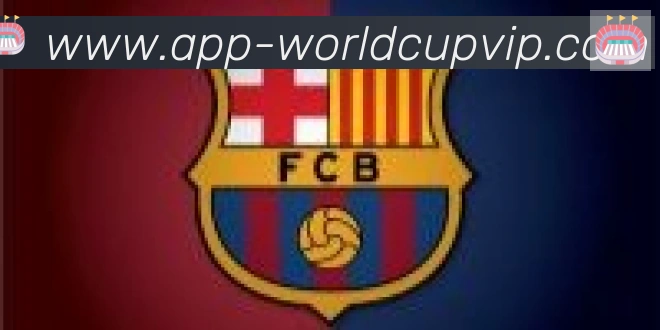 世界杯APP下载合作伙伴
