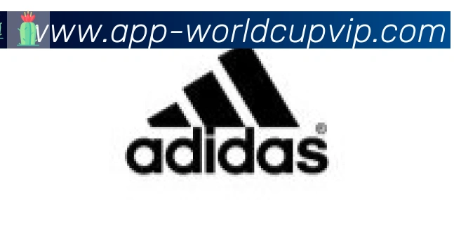 世界杯APP下载合作伙伴